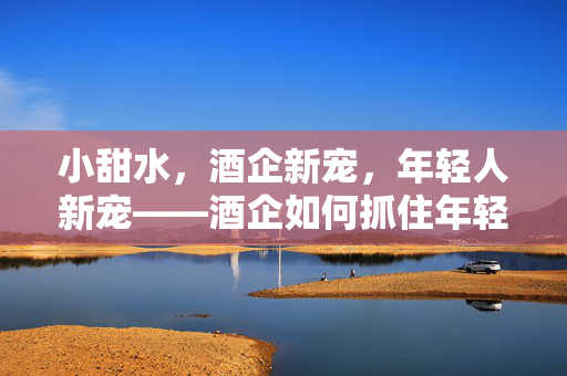 小甜水，酒企新宠，年轻人新宠——酒企如何抓住年轻消费群体的新趋势