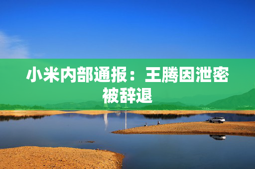 小米内部通报：王腾因泄密被辞退
