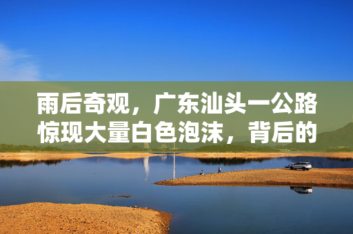 雨后奇观，广东汕头一公路惊现大量白色泡沫，背后的自然与科学之谜