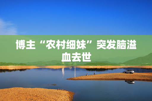 博主“农村细妹”突发脑溢血去世