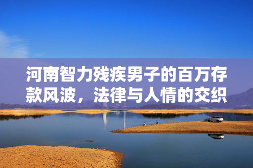 河南智力残疾男子的百万存款风波，法律与人情的交织