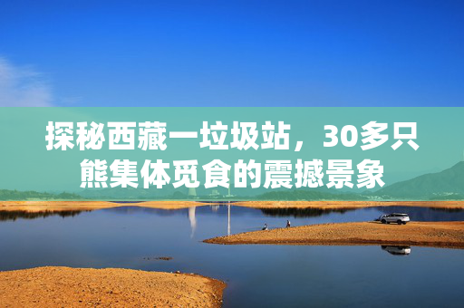 探秘西藏一垃圾站，30多只熊集体觅食的震撼景象