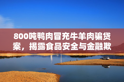 800吨鸭肉冒充牛羊肉骗贷案，揭露食品安全与金融欺诈的双重危机