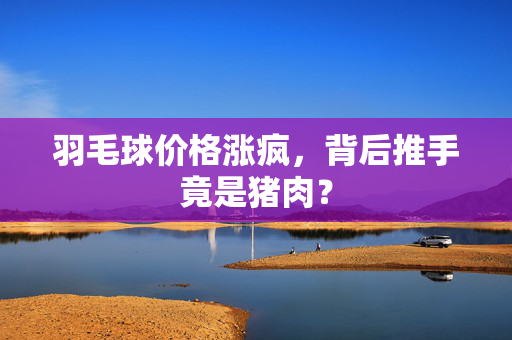 羽毛球价格涨疯，背后推手竟是猪肉？