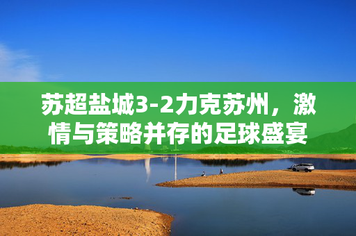 苏超盐城3-2力克苏州，激情与策略并存的足球盛宴