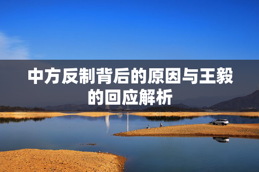 中方反制背后的原因与王毅的回应解析