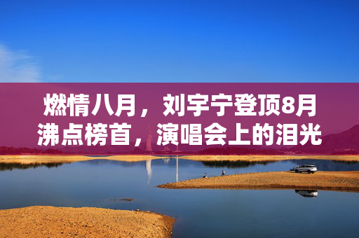 燃情八月，刘宇宁登顶8月沸点榜首，演唱会上的泪光与梦想的璀璨