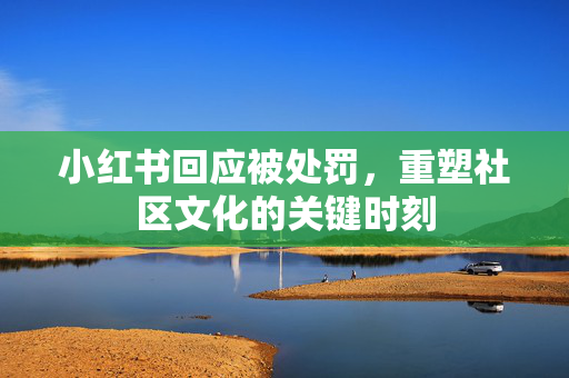 小红书回应被处罚，重塑社区文化的关键时刻