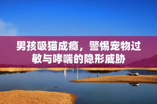 男孩吸猫成瘾，警惕宠物过敏与哮喘的隐形威胁