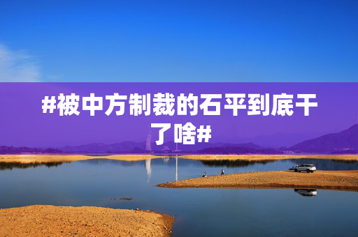 #被中方制裁的石平到底干了啥#