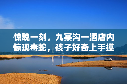 惊魂一刻，九寨沟一酒店内惊现毒蛇，孩子好奇上手摸引担忧