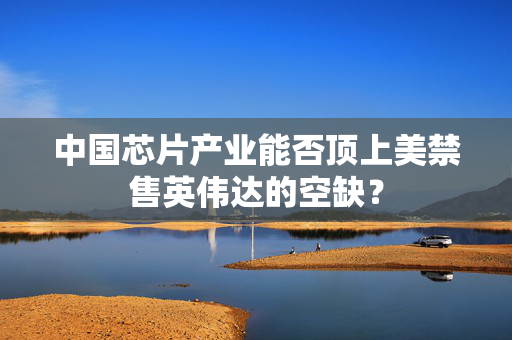 中国芯片产业能否顶上美禁售英伟达的空缺？