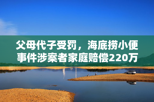 父母代子受罚，海底捞小便事件涉案者家庭赔偿220万