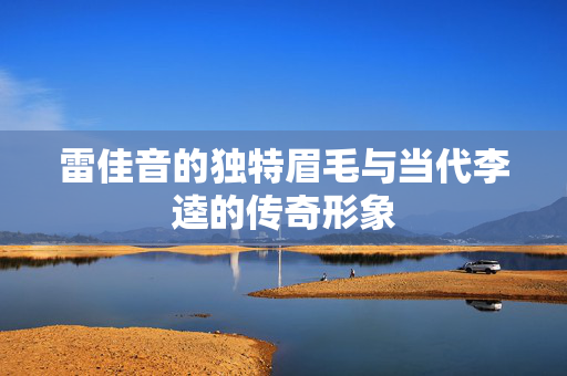 雷佳音的独特眉毛与当代李逵的传奇形象