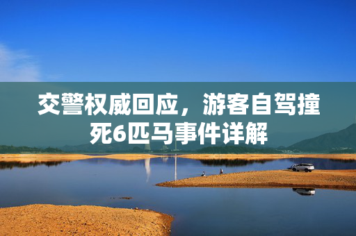 交警权威回应，游客自驾撞死6匹马事件详解