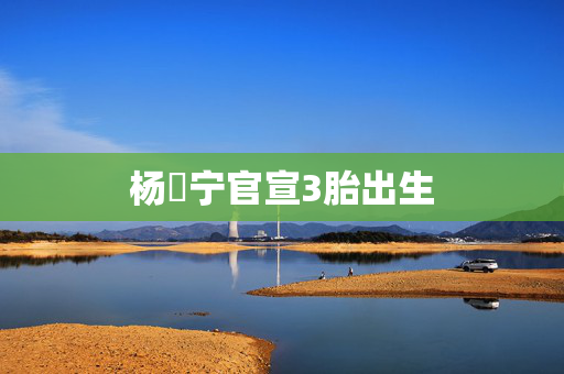 杨祐宁官宣3胎出生