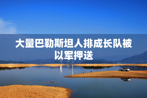 大量巴勒斯坦人排成长队被以军押送