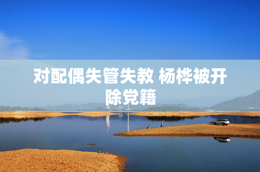 对配偶失管失教 杨桦被开除党籍