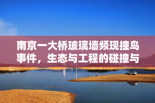 南京一大桥玻璃墙频现撞鸟事件，生态与工程的碰撞与思考