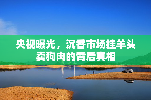 央视曝光，沉香市场挂羊头卖狗肉的背后真相