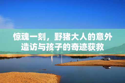 惊魂一刻，野猪大人的意外造访与孩子的奇迹获救
