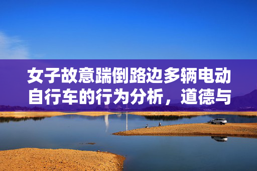 女子故意踹倒路边多辆电动自行车的行为分析，道德与法律的双重拷问