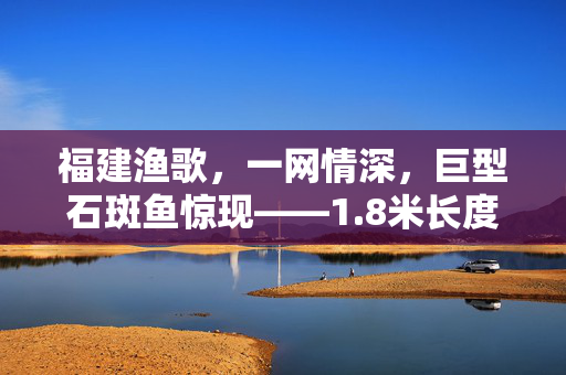 福建渔歌，一网情深，巨型石斑鱼惊现——1.8米长度的海洋奇迹
