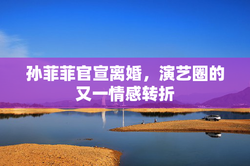 孙菲菲官宣离婚，演艺圈的又一情感转折