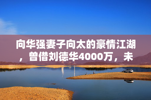 向华强妻子向太的豪情江湖，曾借刘德华4000万，未打欠条的兄弟情深