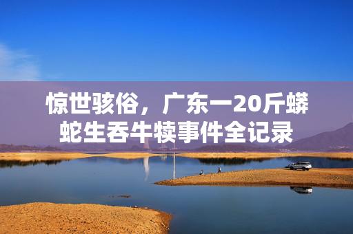 惊世骇俗，广东一20斤蟒蛇生吞牛犊事件全记录