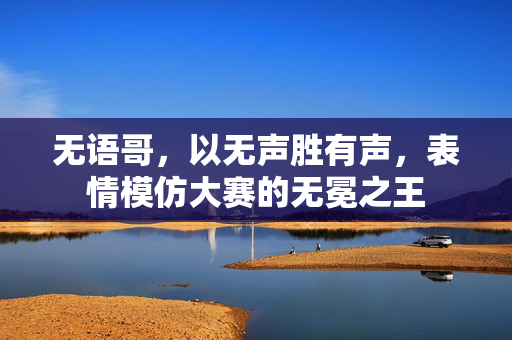 无语哥，以无声胜有声，表情模仿大赛的无冕之王