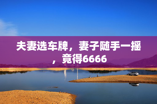 夫妻选车牌，妻子随手一摇，竟得6666
