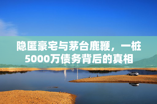 隐匿豪宅与茅台鹿鞭，一桩5000万债务背后的真相