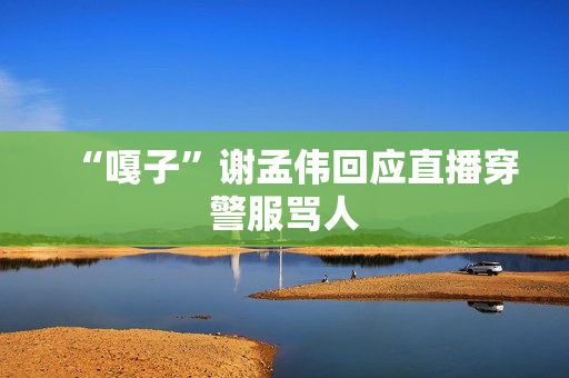 “嘎子”谢孟伟回应直播穿警服骂人