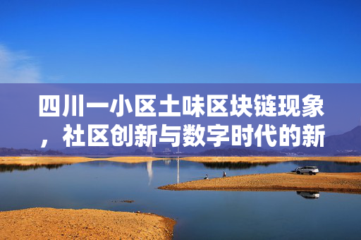 四川一小区土味区块链现象，社区创新与数字时代的新风尚