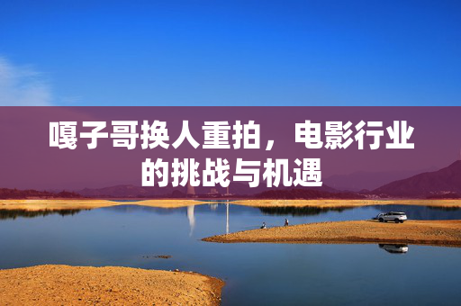 嘎子哥换人重拍，电影行业的挑战与机遇