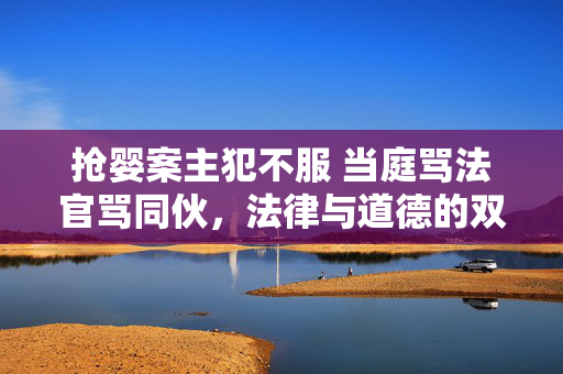抢婴案主犯不服 当庭骂法官骂同伙，法律与道德的双重拷问