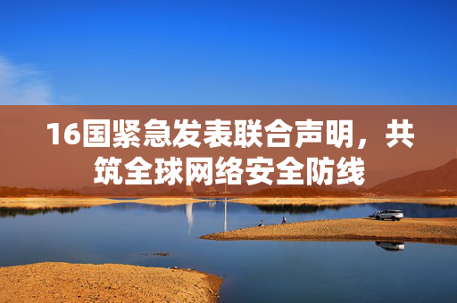 16国紧急发表联合声明，共筑全球网络安全防线