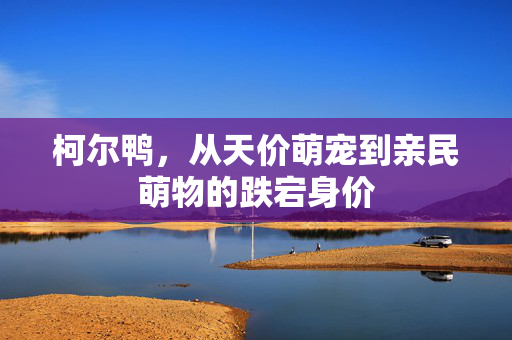 柯尔鸭，从天价萌宠到亲民萌物的跌宕身价