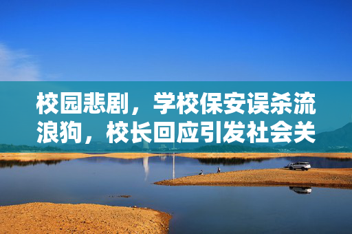 校园悲剧，学校保安误杀流浪狗，校长回应引发社会关注