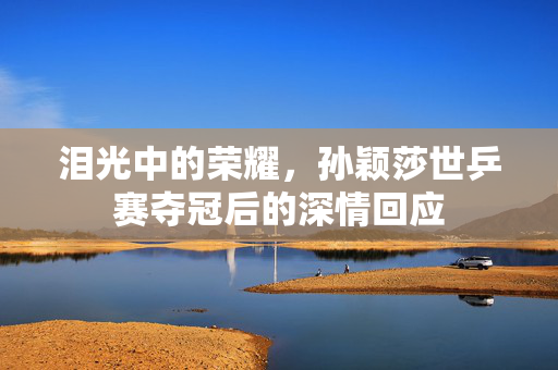 泪光中的荣耀，孙颖莎世乒赛夺冠后的深情回应