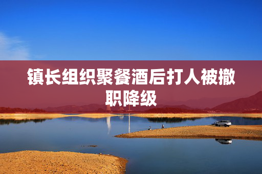 镇长组织聚餐酒后打人被撤职降级