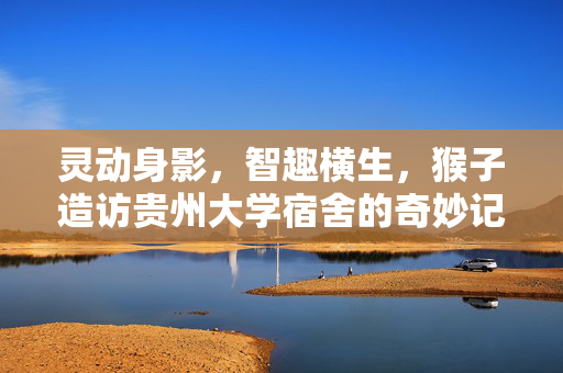 灵动身影，智趣横生，猴子造访贵州大学宿舍的奇妙记事