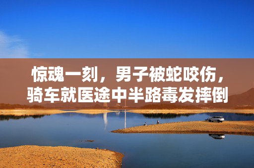惊魂一刻，男子被蛇咬伤，骑车就医途中半路毒发摔倒
