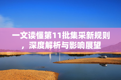 一文读懂第11批集采新规则，深度解析与影响展望