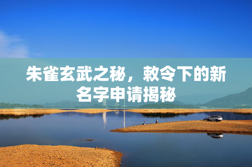 朱雀玄武之秘，敕令下的新名字申请揭秘