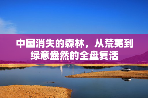 中国消失的森林，从荒芜到绿意盎然的全盘复活