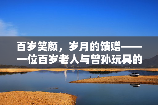 百岁笑颜，岁月的馈赠——一位百岁老人与曾孙玩具的温馨时光
