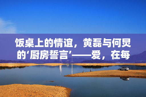 饭桌上的情谊，黄磊与何炅的‘厨房誓言’——爱，在每一口饭菜中传递