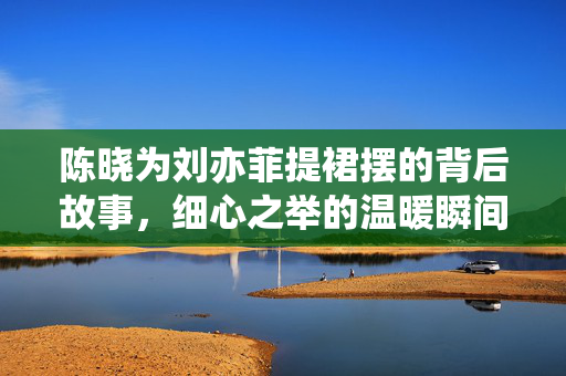 陈晓为刘亦菲提裙摆的背后故事，细心之举的温暖瞬间
